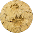 Jane Munro profile picture
